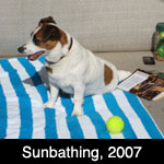Sunbathing
