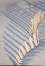 snow fence