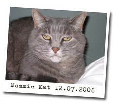 Mommie Kat