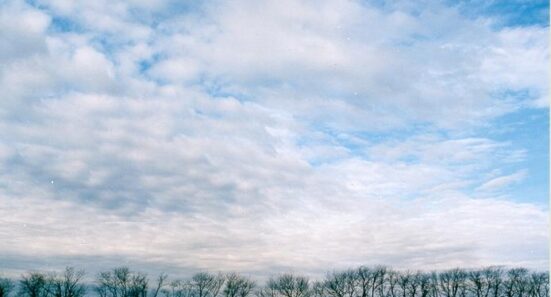 the view