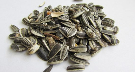 Beer-Baked Sunflower Seeds