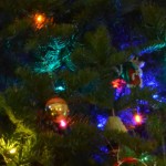 tree.01
