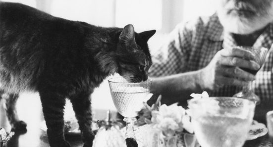 Hemingway with cat