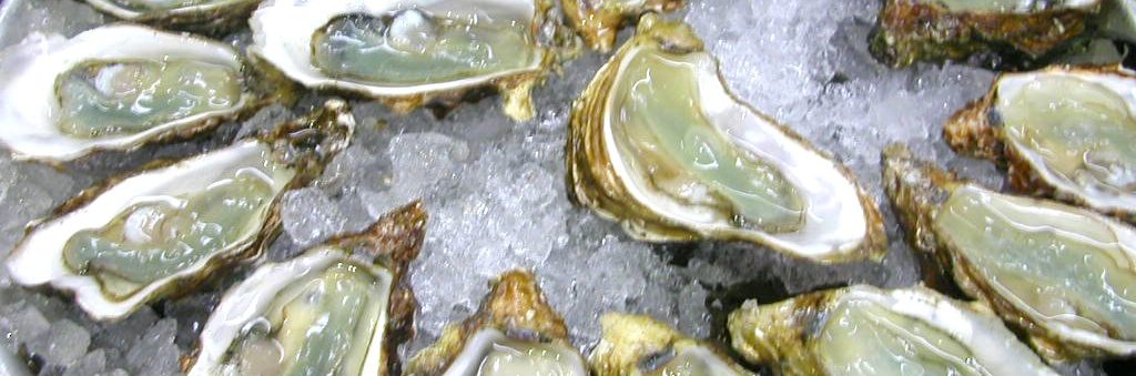 Eating Oysters