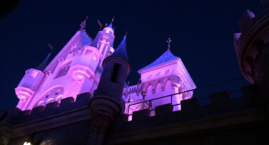 #FridayFive: Disneyland Rides