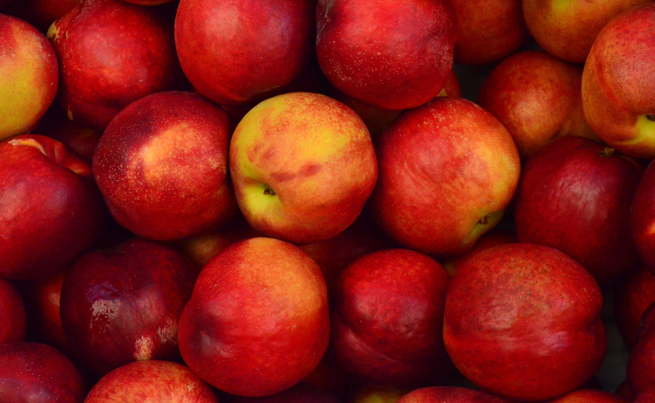 #FridayFive: Apple Varieties