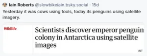 funny headline about animals using tools