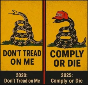 Comply or Die != Don't Tread on Me